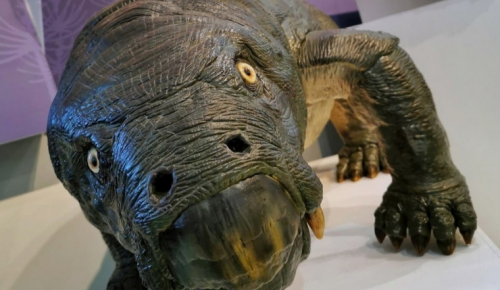 Дарвиновский музей приглашает до 23 апреля всех желающих увидеть уникальные палеонаходки