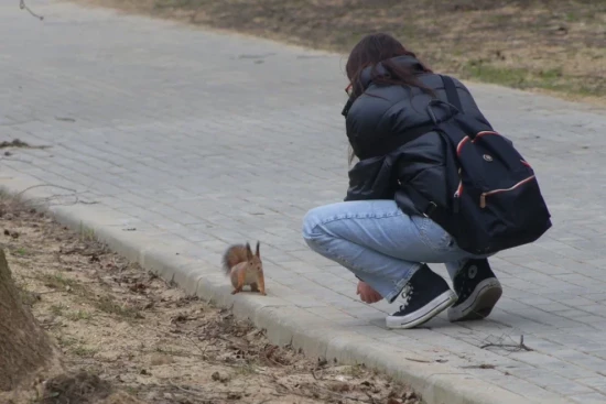 В Воронцовском парке пройдет историческая экскурсия