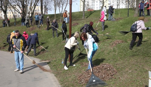 Навели чистоту. В общегородском субботнике на юго-западе столицы приняли участие около 2,5 тыс. человек