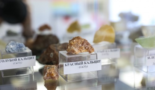 В Московском дворце пионеров открыли Музей наук о Земле