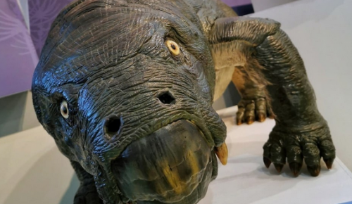 В Дарвиновском музее 22 апреля отметят «День Земли»