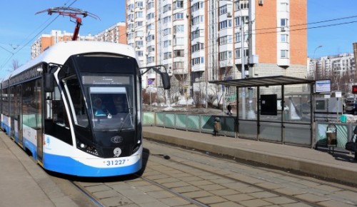 Маршруты транспорта изменятся в связи с ремонтом трамвайной линии на Ломоносовском проспекте