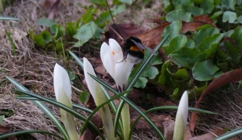 Экоцентр «Лесная сказка» запустит эколого-музыкальную программу