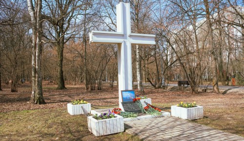 В Воронцовском парке почтут память жертв Чернобыльской АЭС