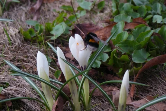 Экоцентр «Лесная сказка» запустит эколого-музыкальную программу
