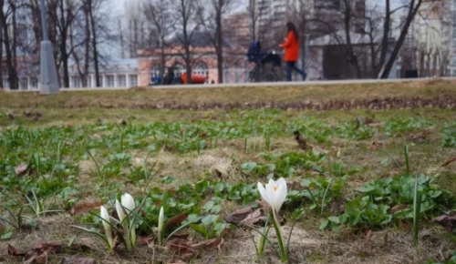 Воронцовский парк приглашает на экскурсию с ботаником