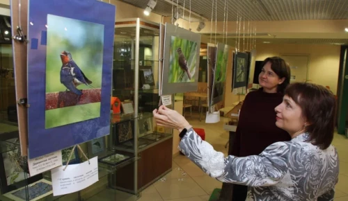 Экоцентры ЮЗАО подготовили майские мероприятия для активного отдыха