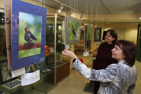 Экоцентры ЮЗАО подготовили майские мероприятия для активного отдыха