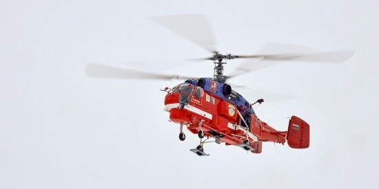 Спасатели нашли потерявшегося в Битцевском лесу человека