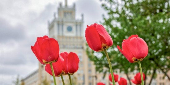 А за окошком месяц май. Дождались! Сегодня День весны и труда