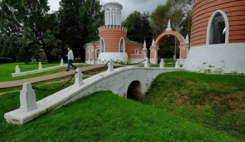 В Воронцовском парке проводят бесплатные занятия по волновой йоге