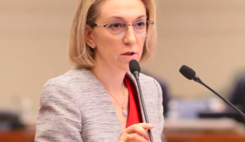 Княжевская: Инвестор построит в Зябликове физкультурно-оздоровительный комплекс