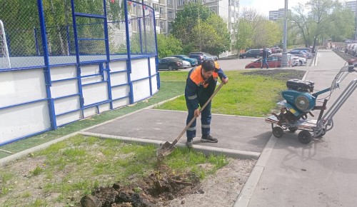 На улице Введенского восстанавливают газон