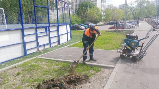 На улице Введенского восстанавливают газон