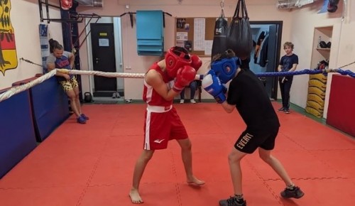 Спортсмены ЦСД «Атлант» СП «Ломоносовский» провели тренировку по боксу и кикбоксингу