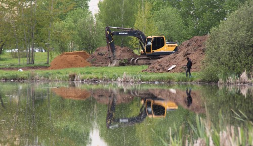 Спорт и отдых у воды. Рядом с прудами в Южном Бутове возведут спортивные площадки