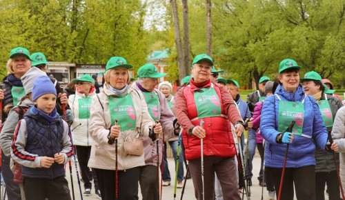 В Воронцовском парке 19 мая проведут фестиваль скандинавской ходьбы