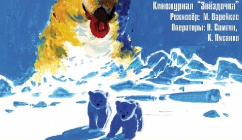 В библиотеке №169 организуют киномарафон «День полярного кино» 21 мая