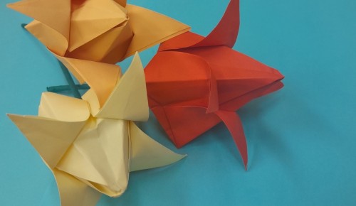 Библиотека №173 проведет 28 мая мастер-класс по оригами