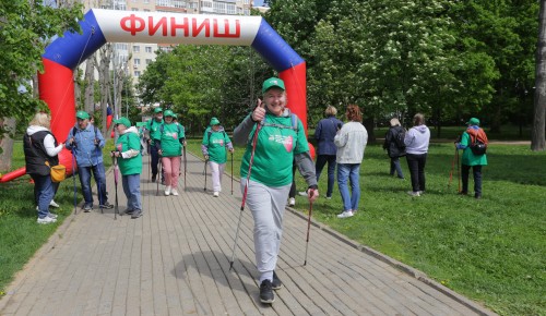 Палки в руки – и вперёд! Сотни человек пришли на фестиваль скандинавской ходьбы в Воронцовском парке