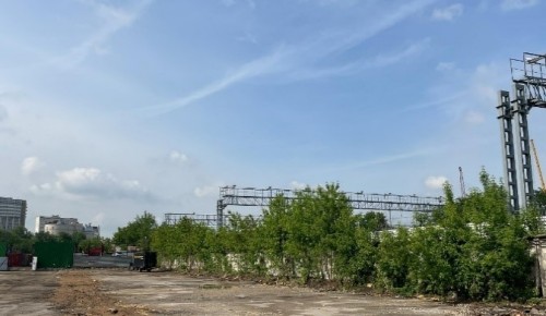 Территорию площадью около пяти тысяч «квадратов» освободили в Академическом районе