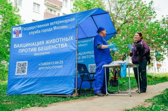 На прививку! 8 мобильных пунктов вакцинации будет в ЮЗАО