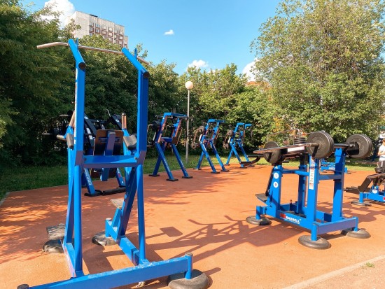 В Воронцовском парке 13 июня организуют открытый мастер-класс на Workout-площадке
