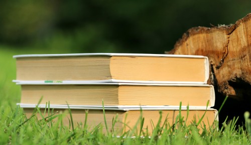 Библиотеки Ясенева представили подборку книг для чтения в отпуске 