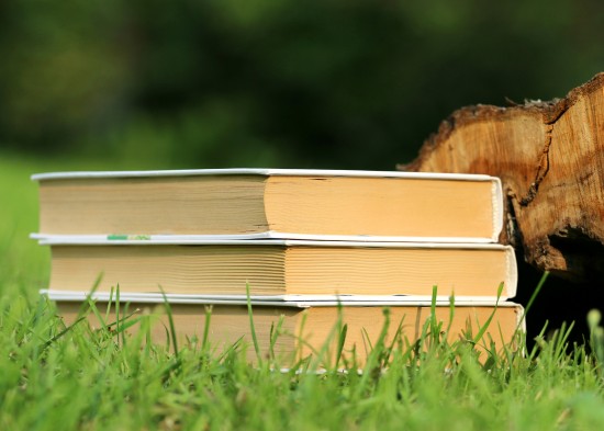 Библиотеки Ясенева представили подборку книг для чтения в отпуске 