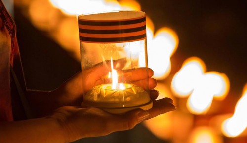 На природных территориях ЮЗАО организуют мероприятия к Дню памяти и скорби