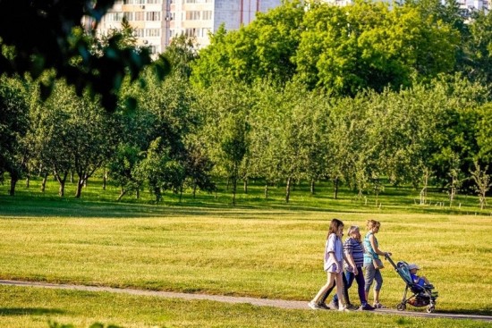 Контроль пожарной безопасности усилен на природных территориях и в лесопарковых зонах из-за жары