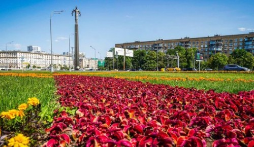 Цветник украсил площадь Гагарина