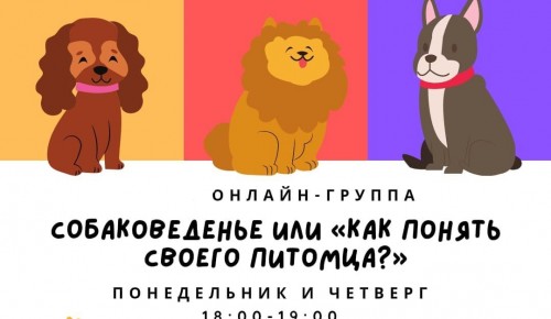 ТЦСО «Зюзино» приглашает в онлайн-группу «Собаковеденье или «Как понять своего питомца?»
