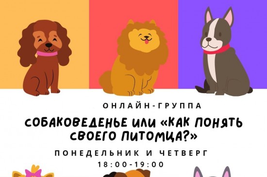 ТЦСО «Зюзино» приглашает в онлайн-группу «Собаковеденье или «Как понять своего питомца?»