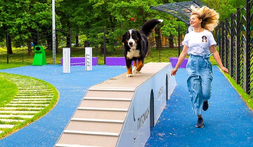 В Конькове появилась новая площадка для выгула собак