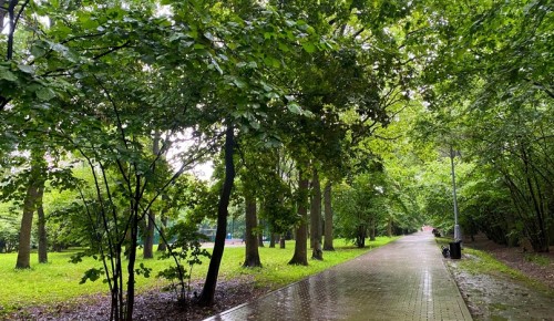 Воронцовский парк 19 июля закрыт для посещений из-за ухудшения погодных условий