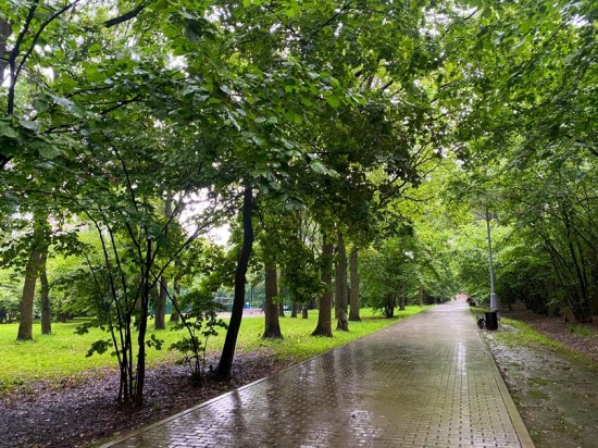 Воронцовский парк 19 июля закрыт для посещений из-за ухудшения погодных условий