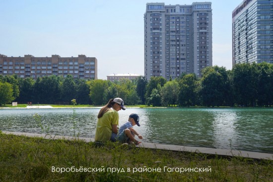 Воробьевский пруд рядом с Дворцом пионеров восстановлен