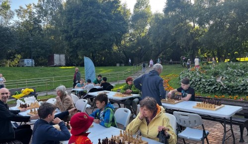 В Академическом районе провели фестиваль шахмат и шашек