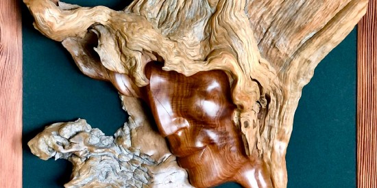 Дарвиновский музей приглашает посетить выставку «Вторая жизнь дерева в природной пластике образов»