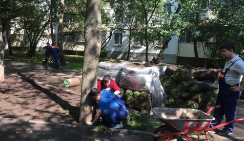 В Конькове восстанавливают газон на Профсоюзной улице