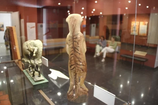 В Дарвиновском музее откроют выставку о малоизвестных животных