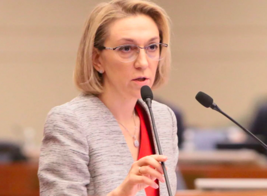 Княжевская: В этом году уже оформлено около 900 градостроительных планов земельных участков