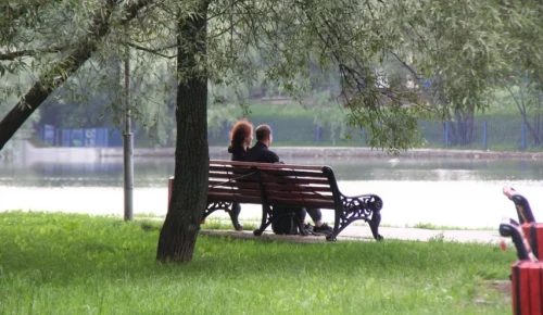 Жителей ЮЗАО ждут небольшие дожди в выходные и потепление в начале недели