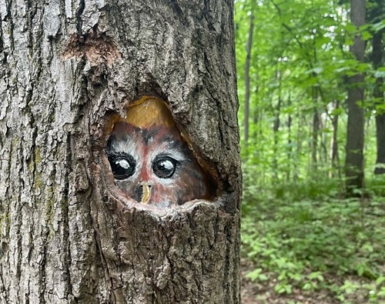 Художники-волонтеры украсили деревья в Битцевском лесу