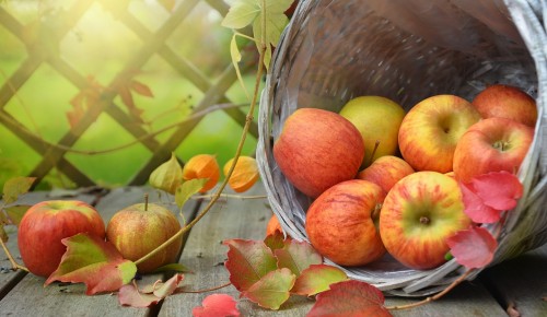 В Теплом Стане 17 августа организуют программу «Яблочный спас - не пройдет он без нас»