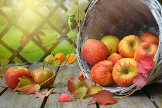В Теплом Стане 17 августа организуют программу «Яблочный спас - не пройдет он без нас»