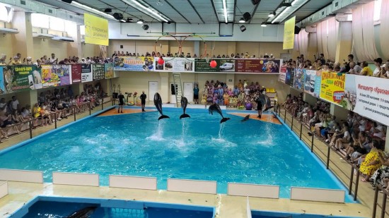 Воспитанники «Каховских ромашек» посетили дельфинарий