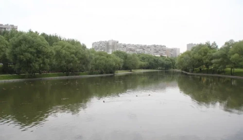 На юго-западе Москвы станет прохладнее из-за кратковременных дождей