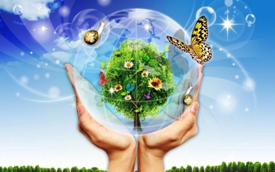 Экоцентр «Лесная сказка» организует еженедельные занятия по программе «Экология жизни»